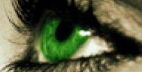cropped-logoeye.jpg